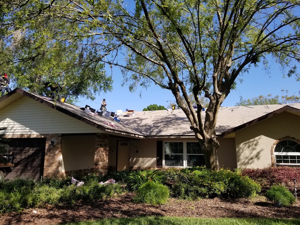 Scott's Roofing